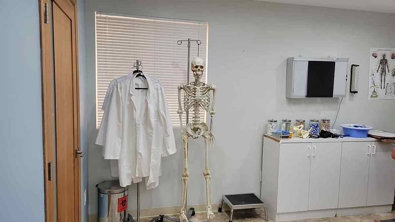 Exam room with daylight window